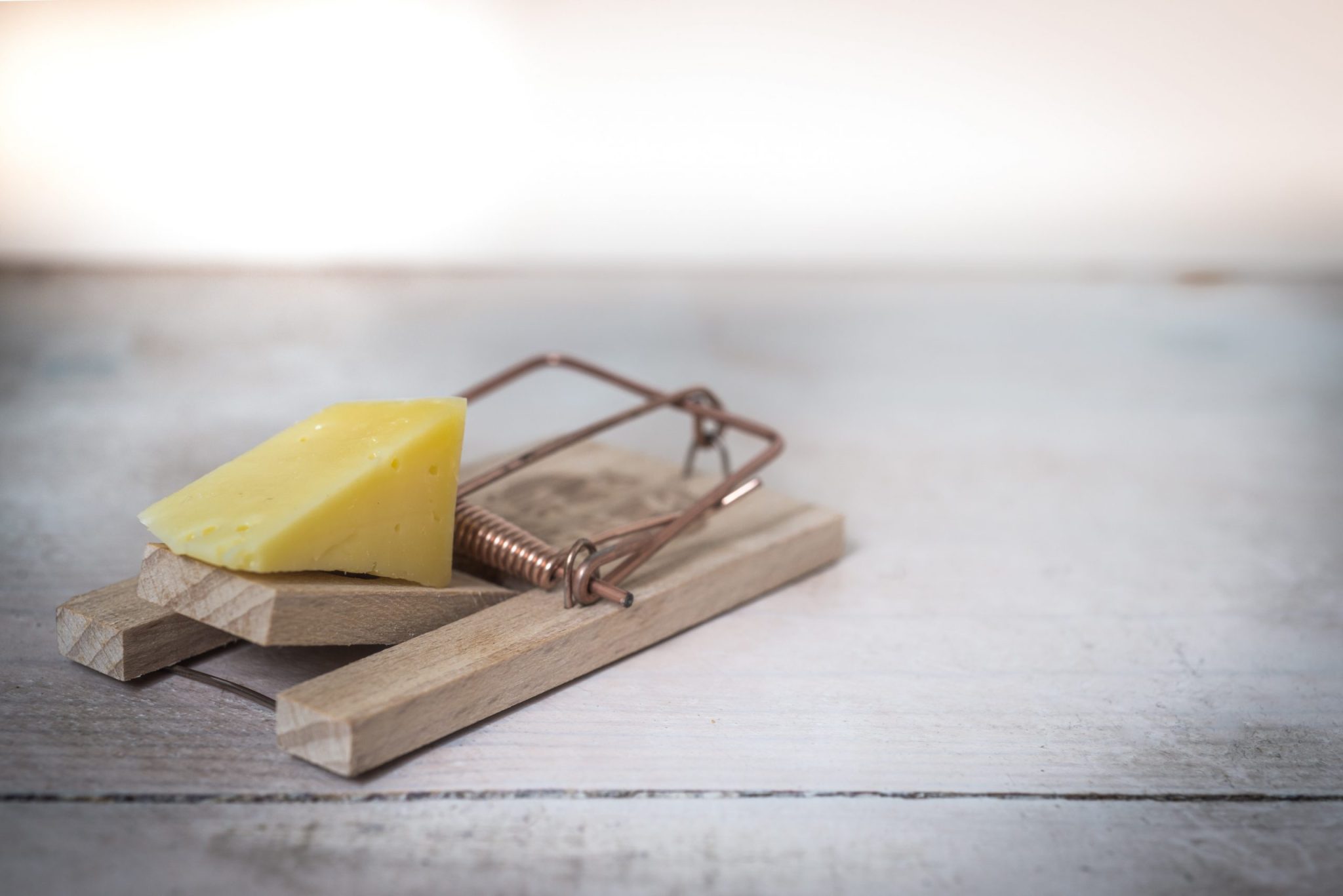 Innovation and the Better Mouse Trap CarneyCo Marketing