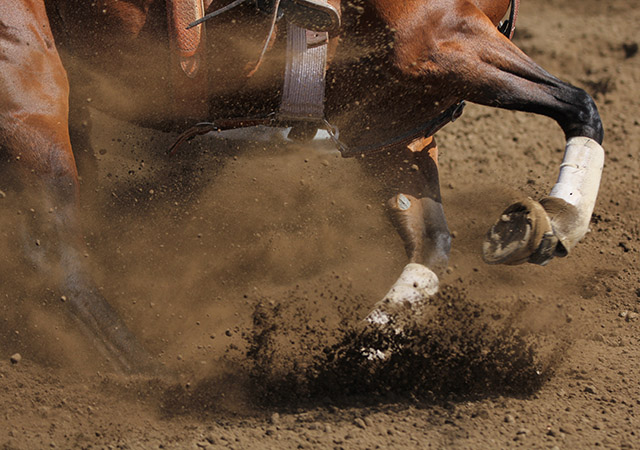 Escaping “Faster Horse” Thinking: The Henry Ford Principle Revisited